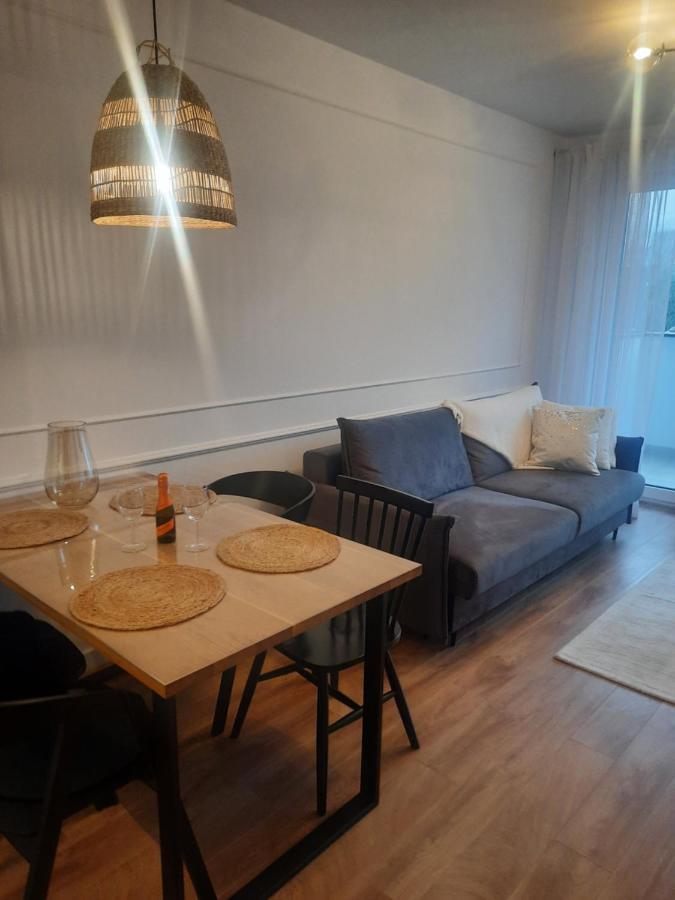 Apartament Centrum Цехоцинек Екстер'єр фото